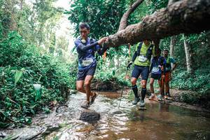 BIB: 
                            <button type="button" onclick="openModal(25369153)" class="btn btn-primary btn-sm float-right btn-popup" data-toggle="modal" data-target=".modal-high-quality">
                        <i class="fas fa-shopping-cart"></i> Add to Cart
                    </button>
                                            <button type="button" onclick="isThisMe(25369153, true)" class="btn btn-success btn-sm float-right btn-popup btn-isme hidden" data-toggle="tooltip" data-placement="bottom" title="นี่คือรูปของคุณใช่ไหม คลิกที่นี่เพื่อเอาเข้าอัลบั้ม">
                        <i class="fas fa-plus"></i> Add to album
                    </button>
                    <button type="button" onclick="isThisMe(25369153, false)" class="btn btn-warning btn-sm float-right btn-popup btn-isnotme hidden">
                        <i class="fas fa-ban"></i> Remove from album
                    </button>